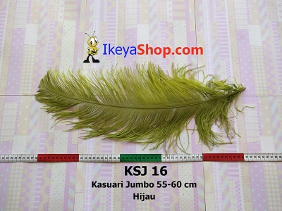 KSJ 16  large2